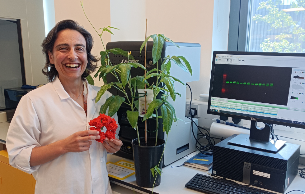 An image of a woman smiling holding a red circle next to a plant and a computer monitor.