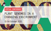 Plant Genomes in a Changing Environment 