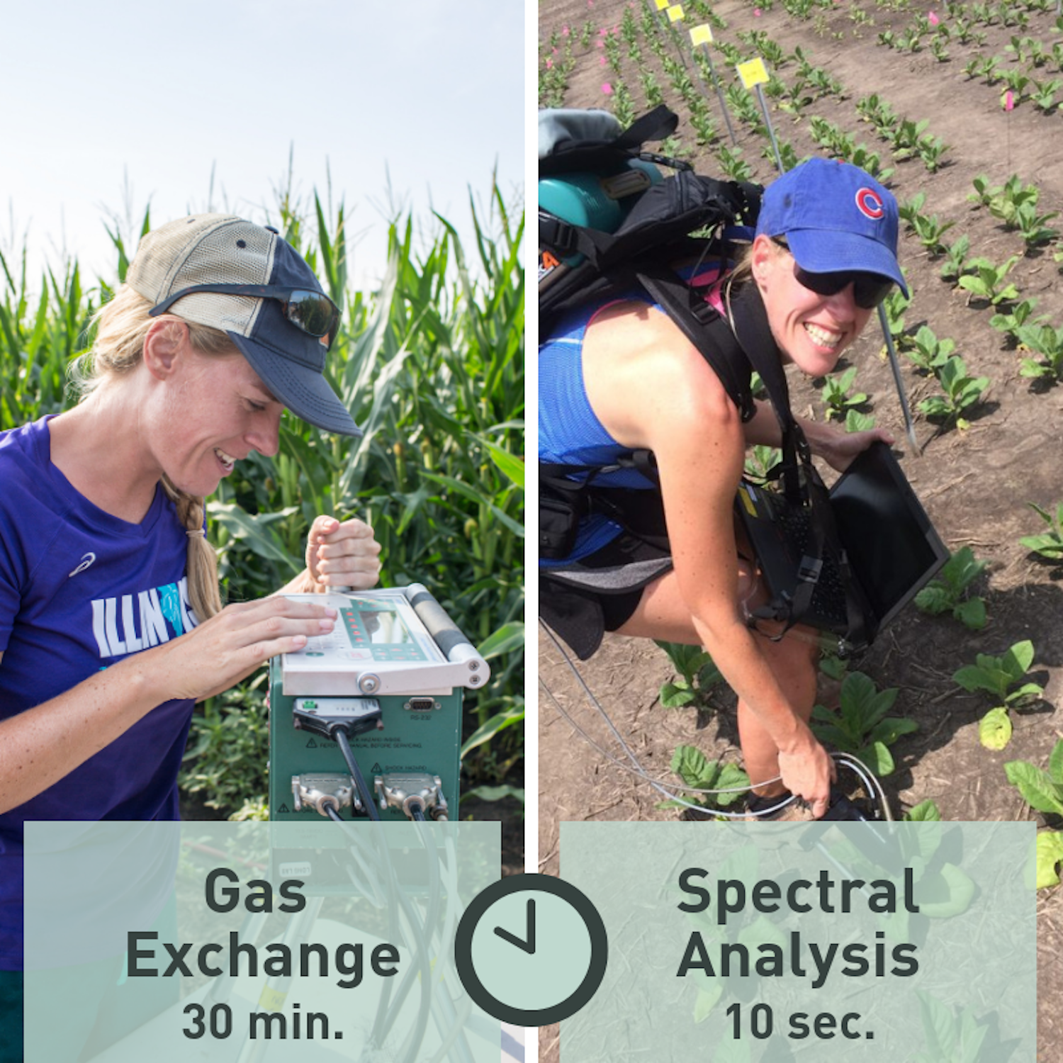 Graphic gas exchange spectral analysis