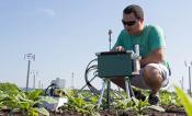 Paul South collecting measurements in field