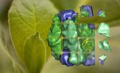 enzyme assembly