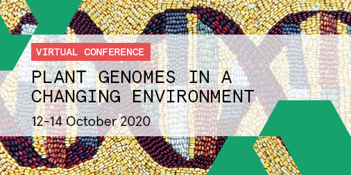 Plant Genomes in a Changing Environment 