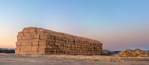 grain