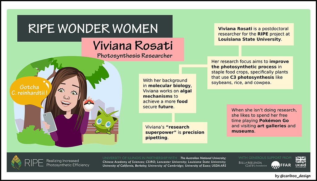 Graphic illustration of Viviana Rosati