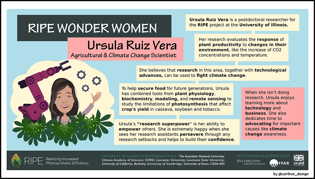 Graphic illustration of Ursula Ruiz Vera