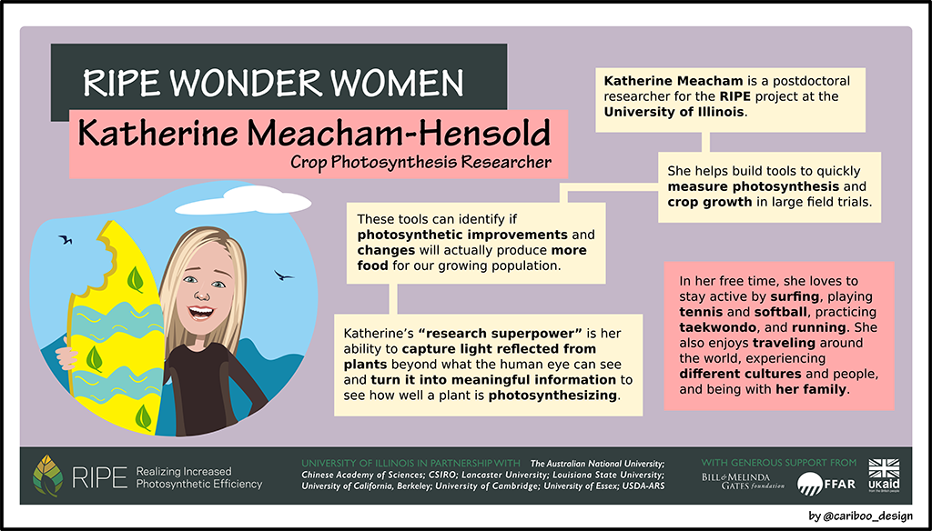 Graphic Illustration of Katherine Meacham-Hensold. 