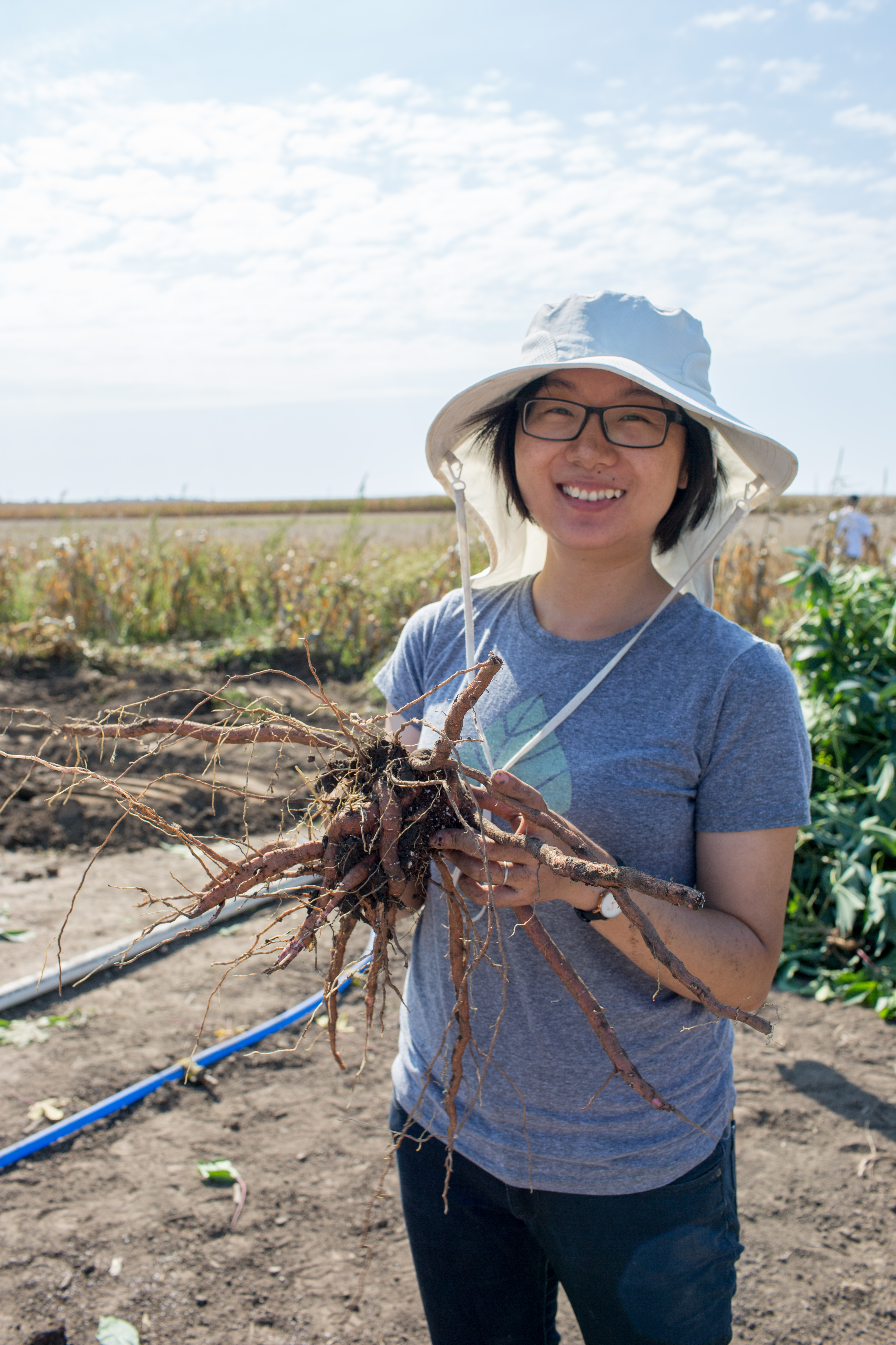 Yu Wang holds cassava