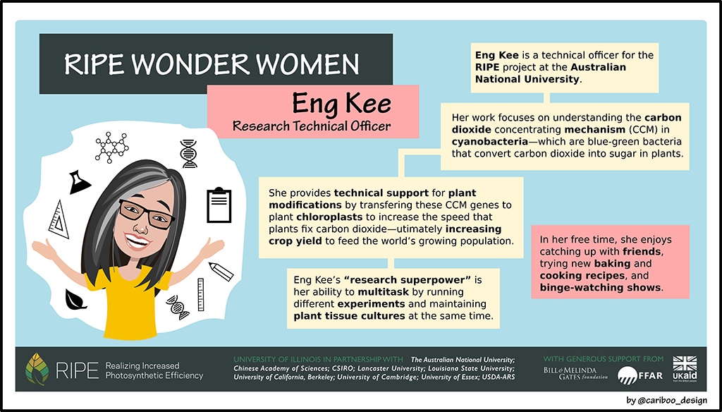 Graphic illustration of Eng Kee Au.