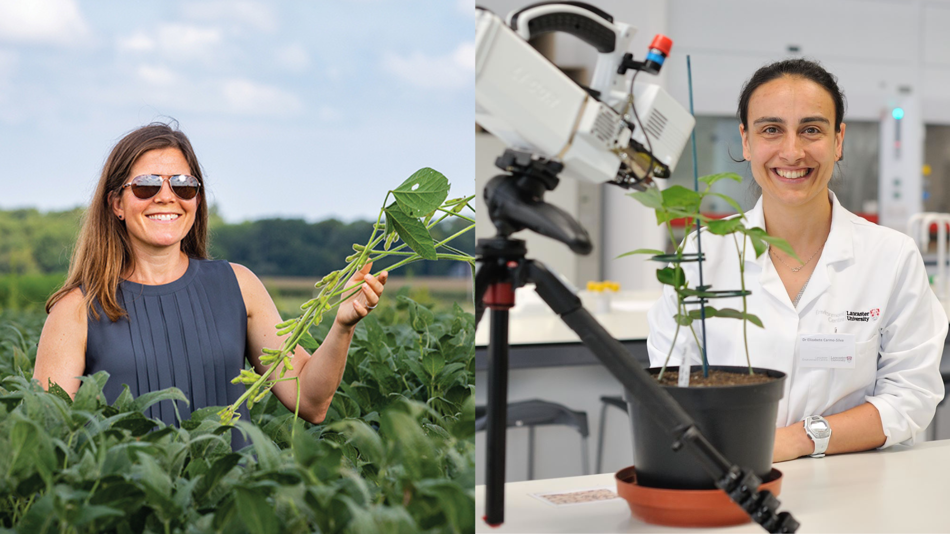 Two pictures side-by-side. The left picture is of a woman wearing sunglasses holding a leafy green plant surround by green plants tall enough to reach her waist. The photo on the right is a woman in a lab coat sitting slightly behind a plant and an instrument measuring the plant.: