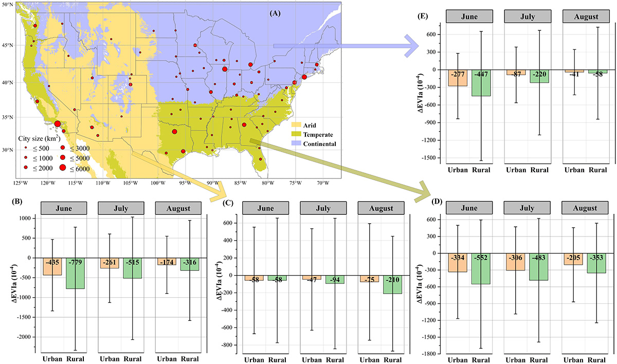 Stronger drought resistance of urban vegetation due to higher temperature, CO2 and reduced O3