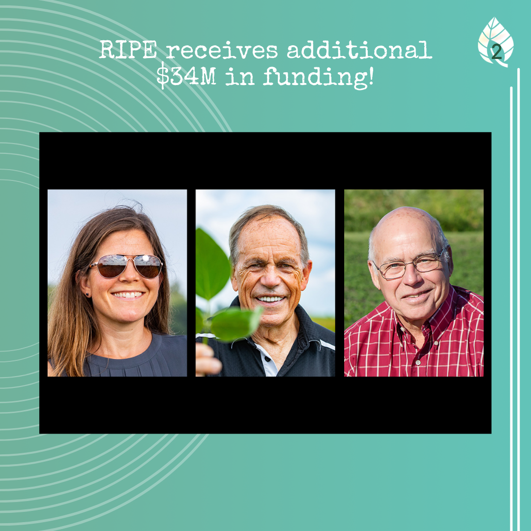 Lisa Ainsworth (left), Steve Long (middle), Don Ort (right)