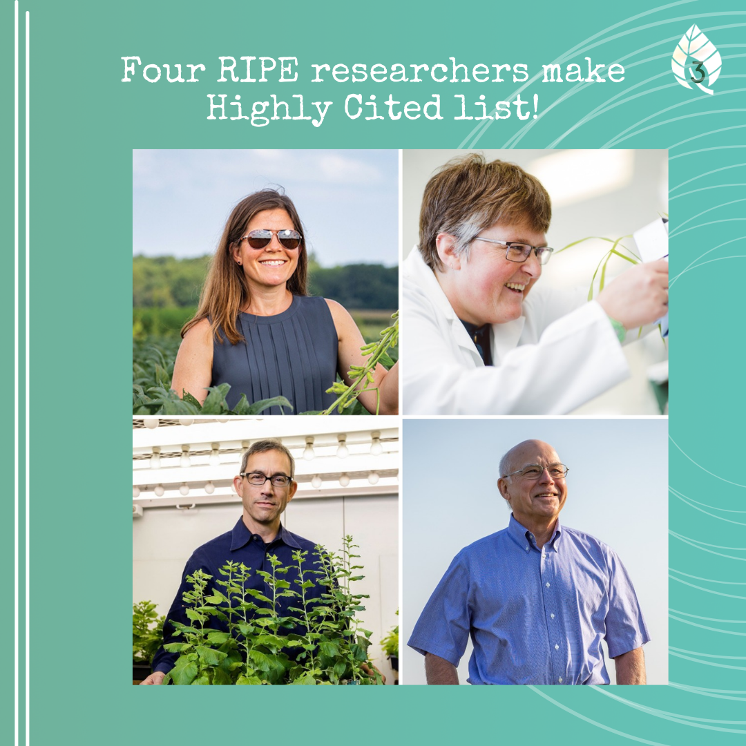 (Clockwise from top left) Lisa Ainsworth, Tracy Lawson, Kris Niyogi, and Don Ort.