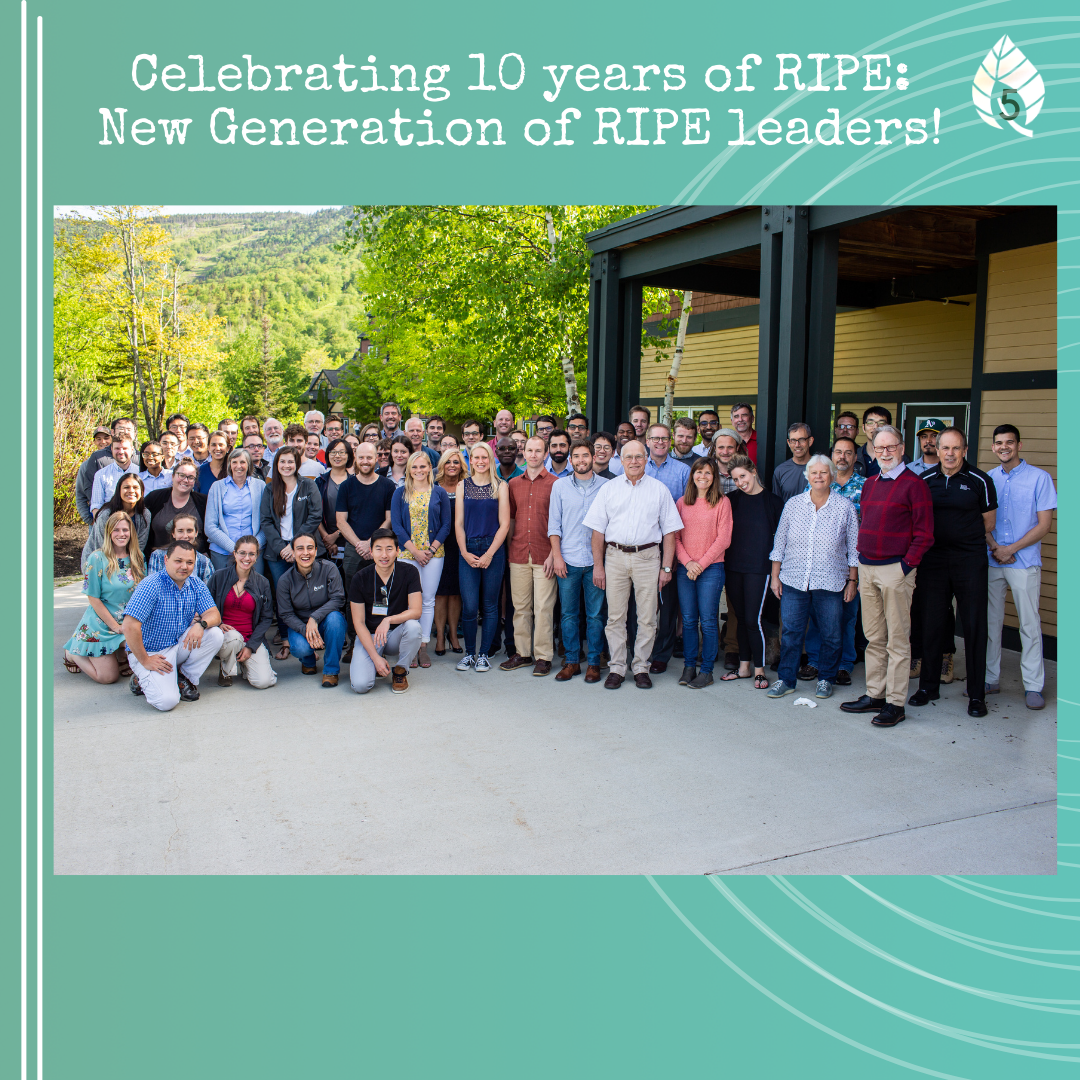 Members of the RIPE team shortly after RIPE started.