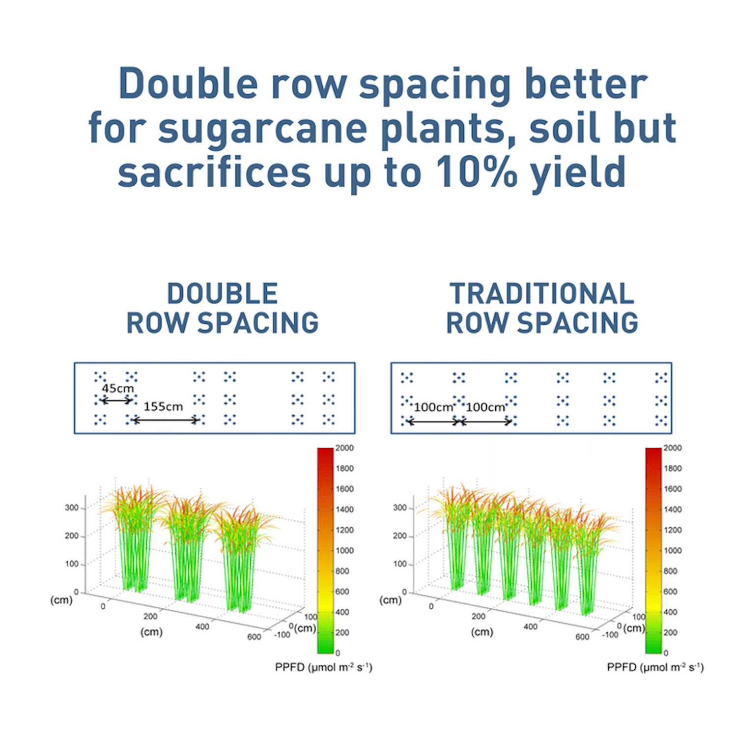 row spacing graphic