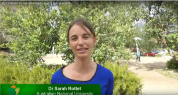 Sarah Rottet