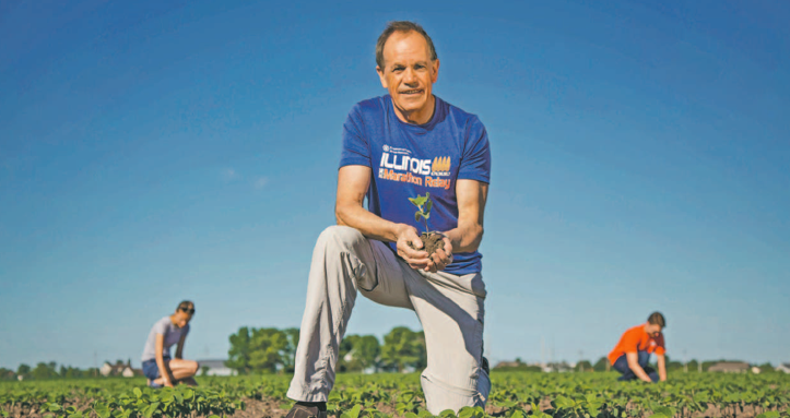 Stephen Long is leading studies in crop science at the University of Illinois. By: The University of Illinois Board of Trustees