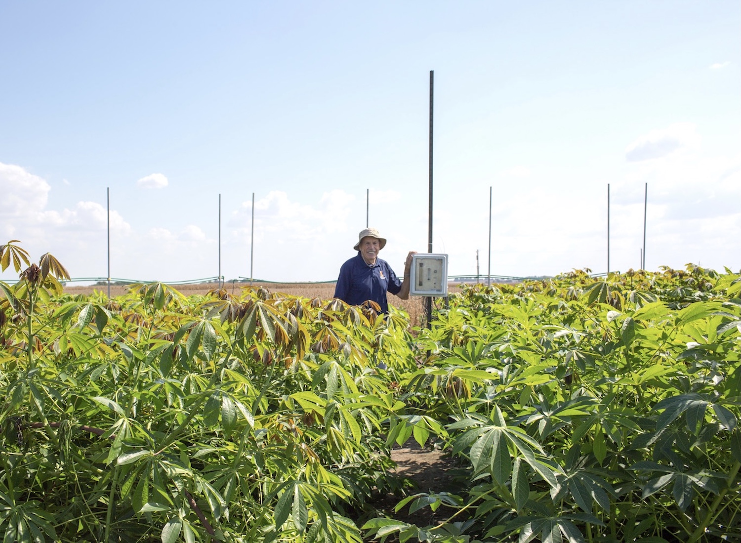 SteveLong_NaturePlants