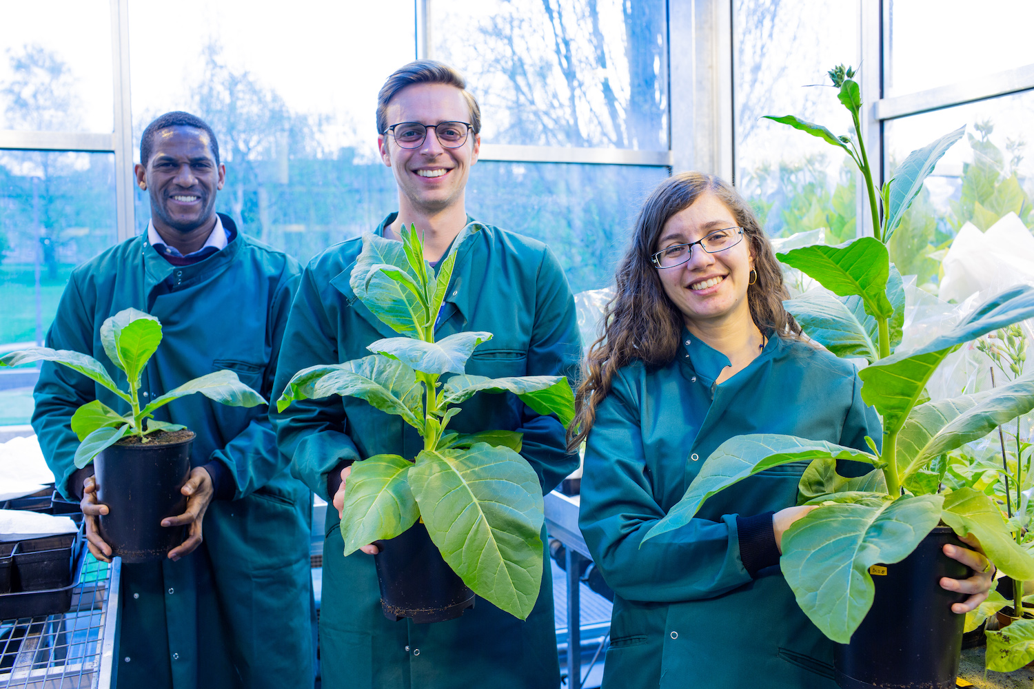 University of Essex team