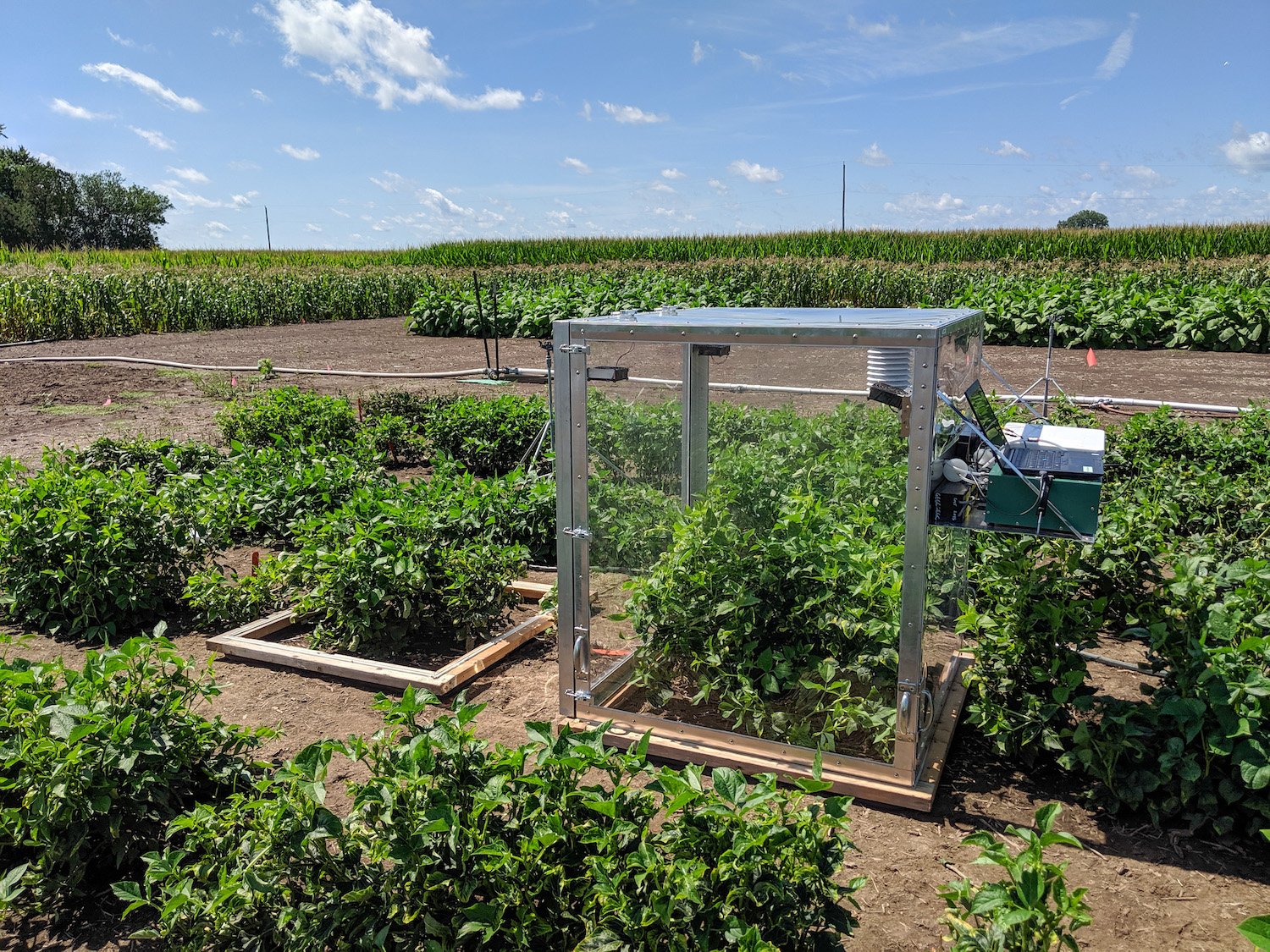 Canopy gas exchange chamber