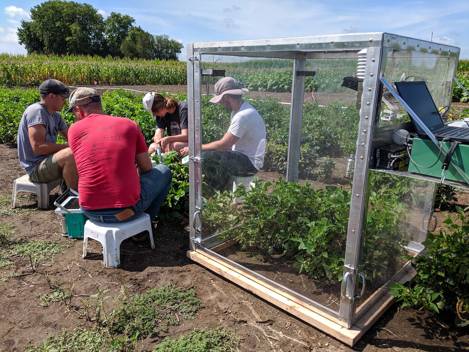 Cowpea research team