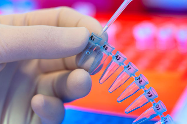 Closeup of hand pipetting.
