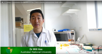 Will Hee