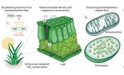 Figure 3 from paper.