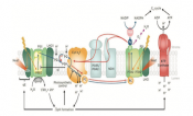 Photoprotection of the photosynthetic membrane.