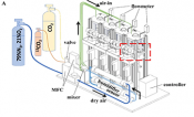 A design sketch of an integrated isotopic labeling and freeze sampling apparatus