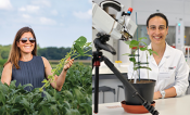 Two pictures side-by-side. The left picture is of a woman wearing sunglasses holding a leafy green plant surround by green plants tall enough to reach her waist. The photo on the right is a woman in a lab coat sitting slightly behind a plant and an instrument measuring the plant.