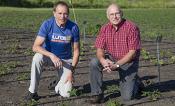 Two men kneeling on the ground in a field with small plants around them.