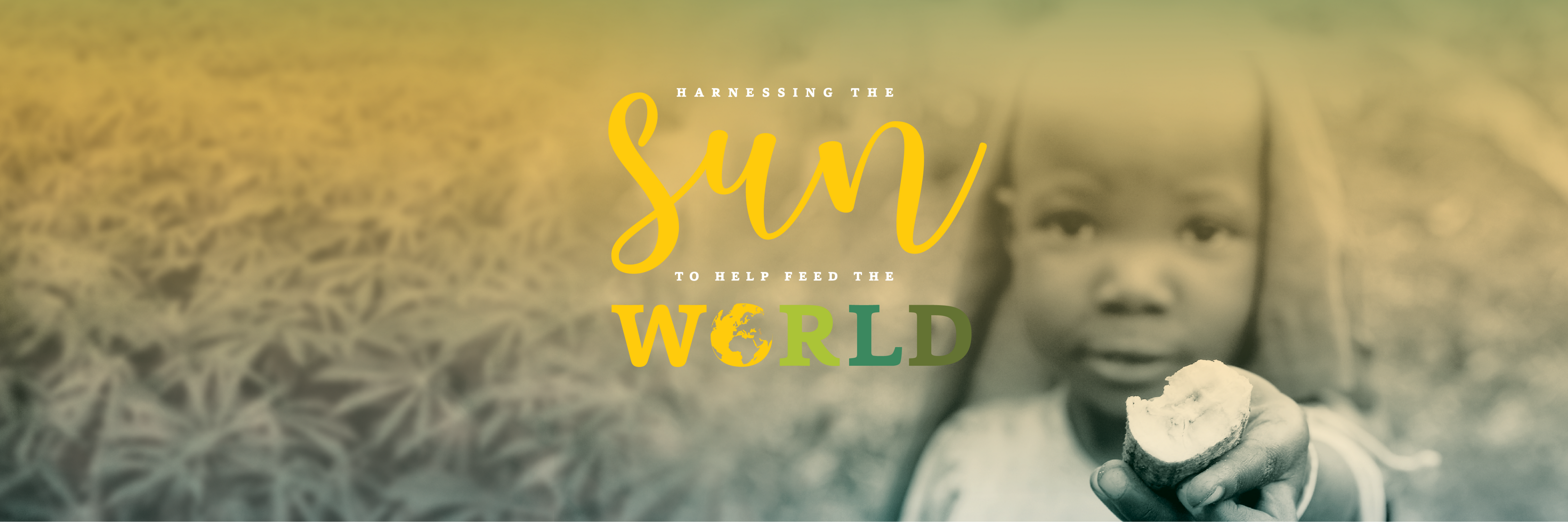 Scientists tweak photosynthesis and boost crop yield, proving it can be done