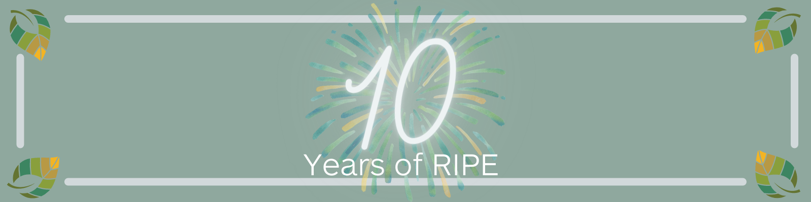 10 Years of RIPE banner