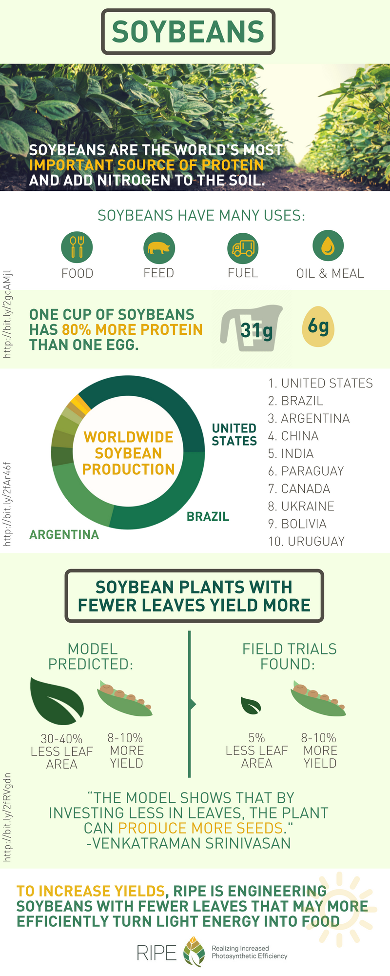 Soybean infographic