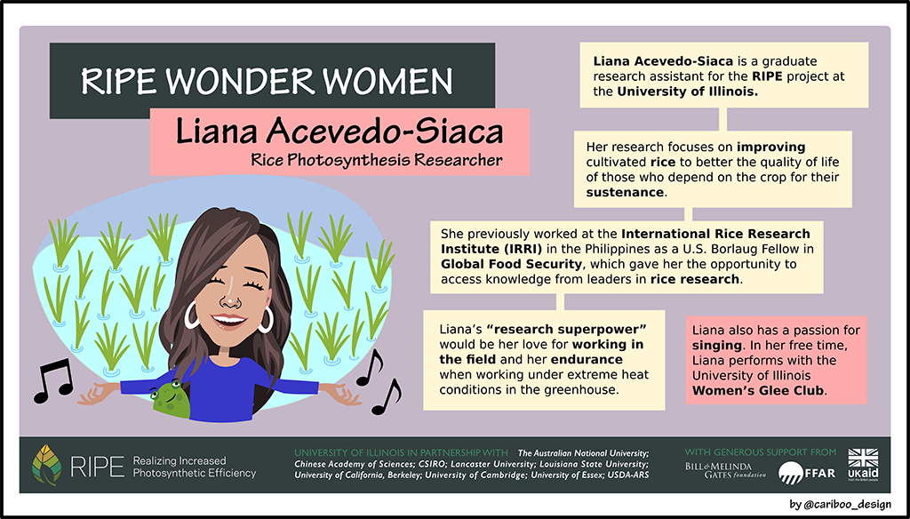 Graphic illustration of Liana Acevedo-Siaca