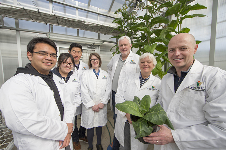 Team stands in greenhouse holding plant.