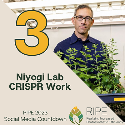RIPE 2023 Social Media Countdown #3: Niyogi Lab CRISPR Work