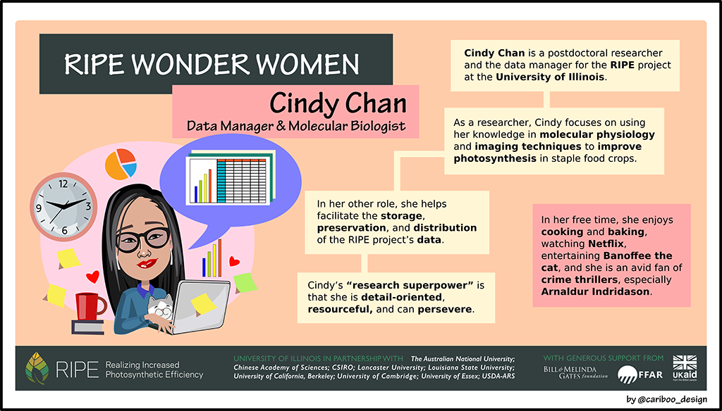 Graphic illustration of Cindy Chan
