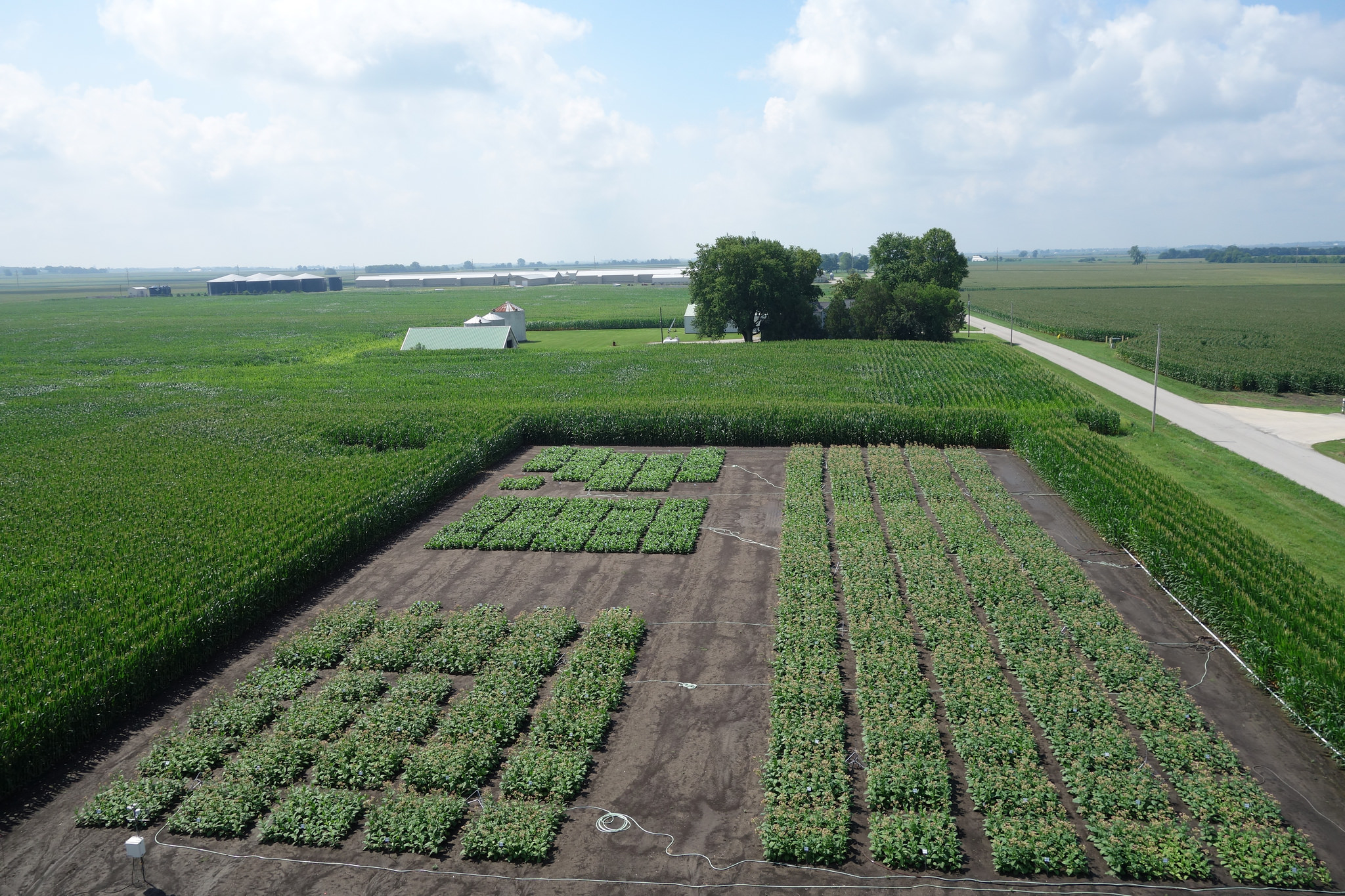 Field