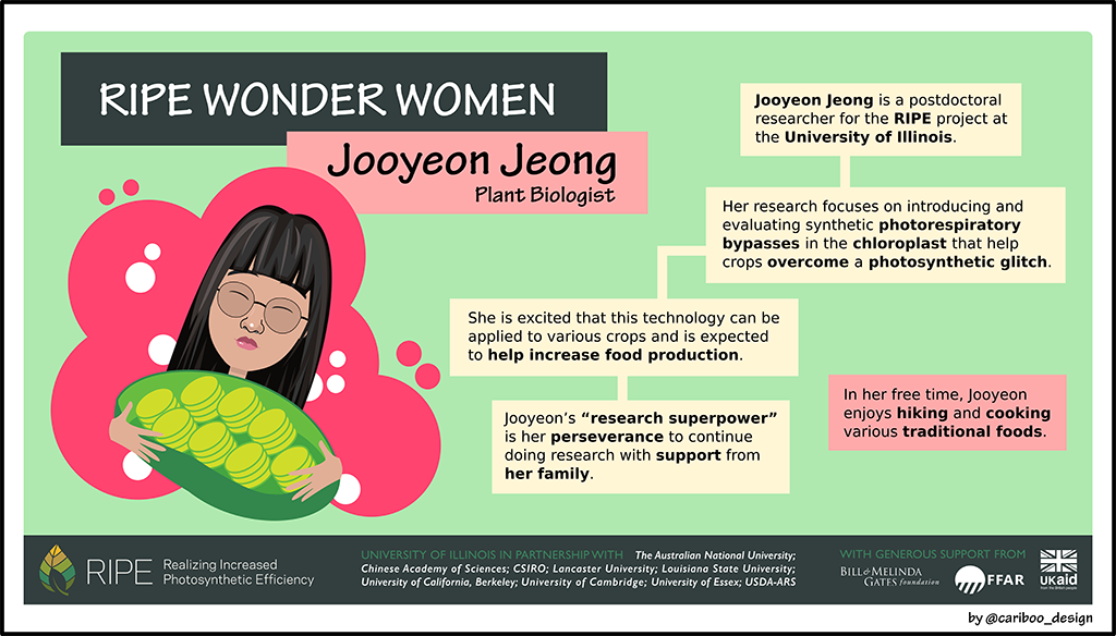 Graphic illustration of Jooyean Jeong