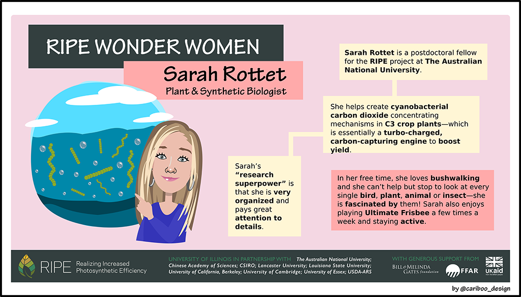 Graphic illustration of Sarah Rottet