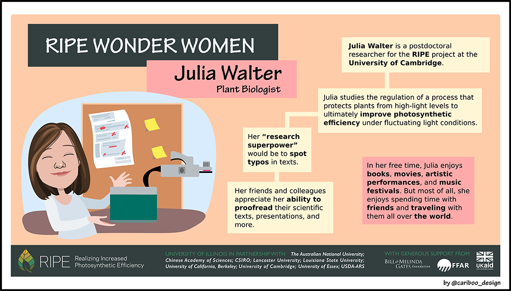 Graphic illustration of Julia Walter