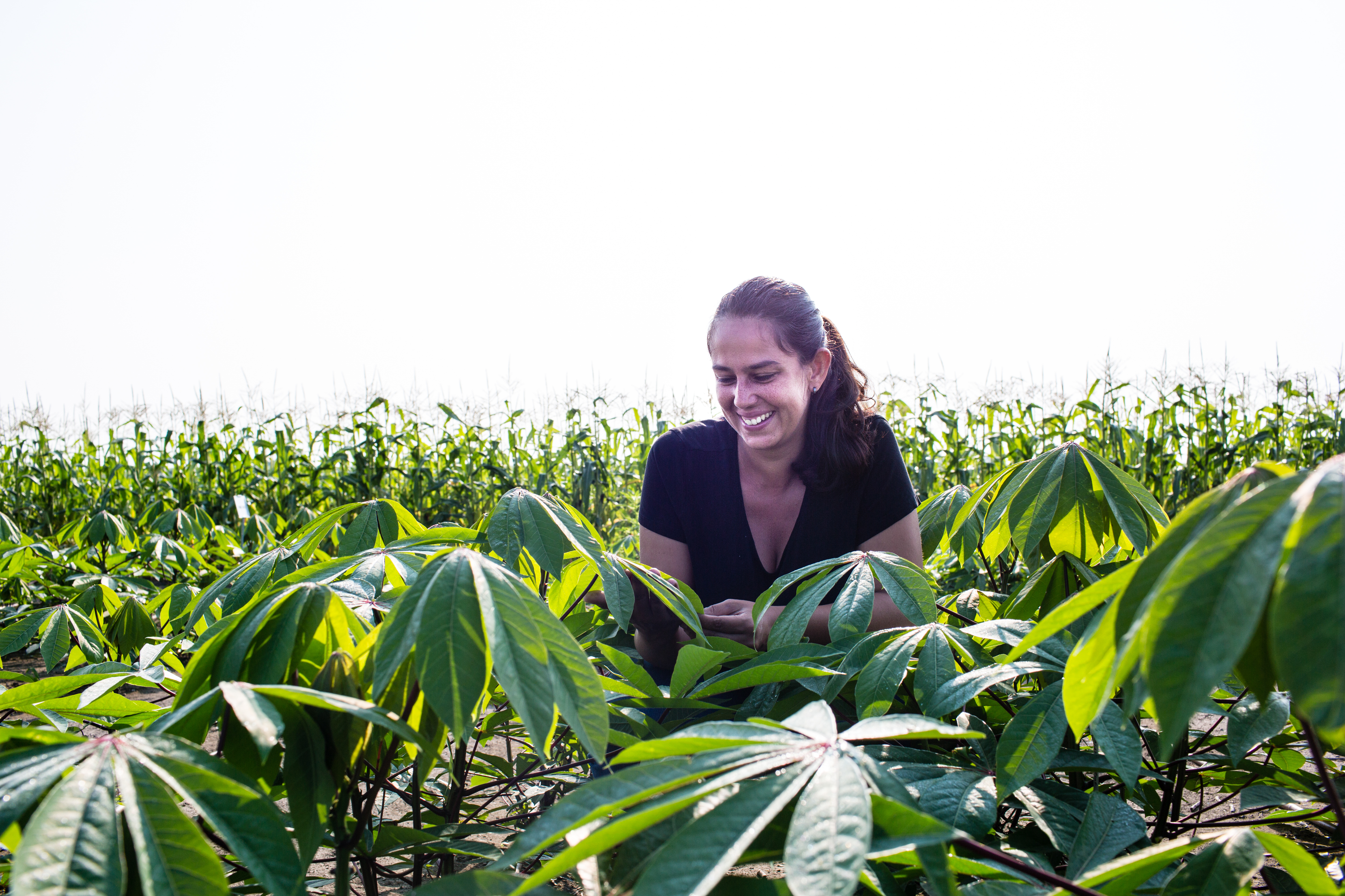 Amanda De Souza in a cassava field