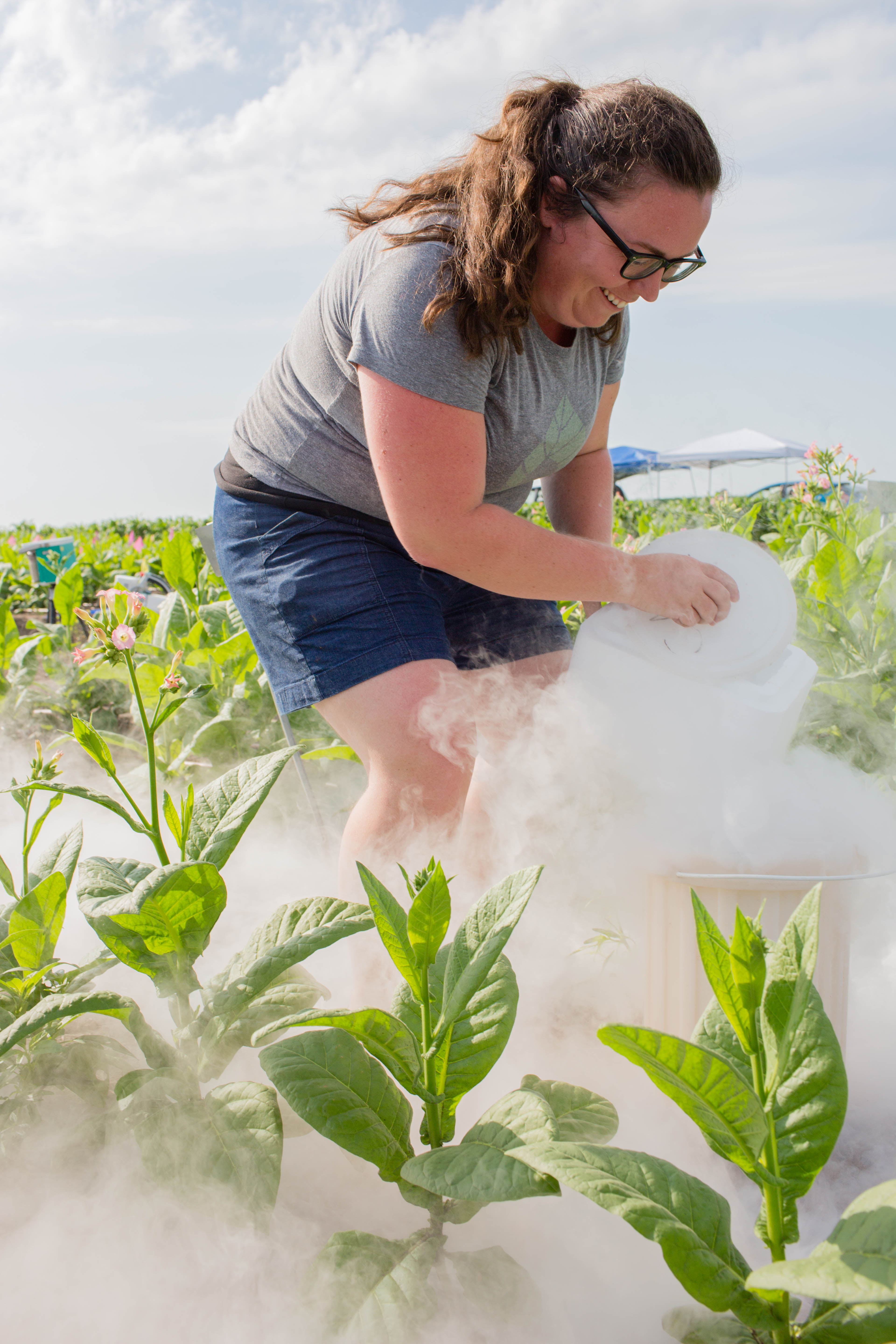 Amanda Cavanagh works with liquid nitrogen to in the field trials. 