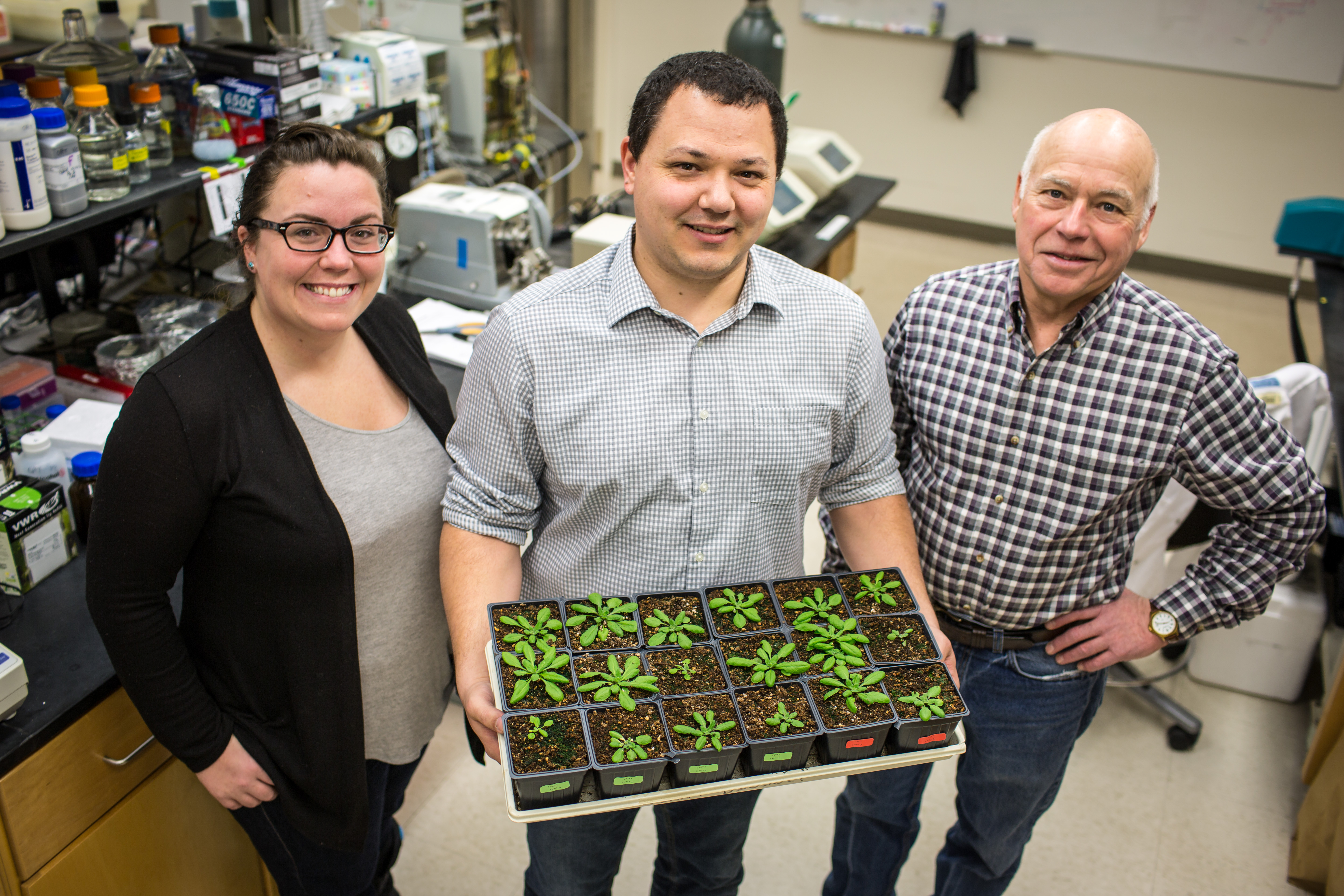 Three researchers pose in the lab with a tray of Arabidopsis.