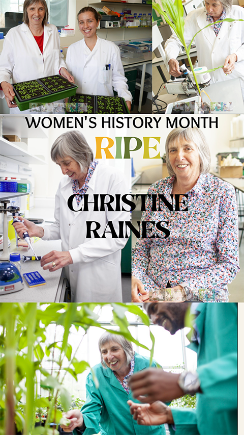 A collage of picture of Christine Raines with the words RIPE Women's History Month Christine Raines separating the top pictures from the bottom pictures.