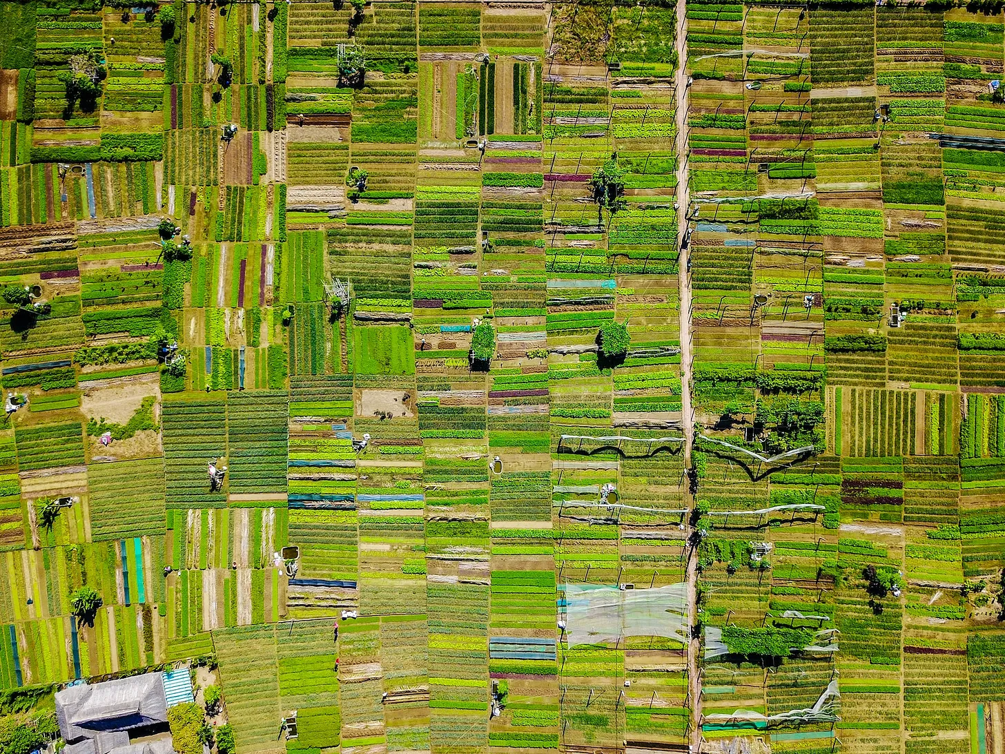Farms from above.