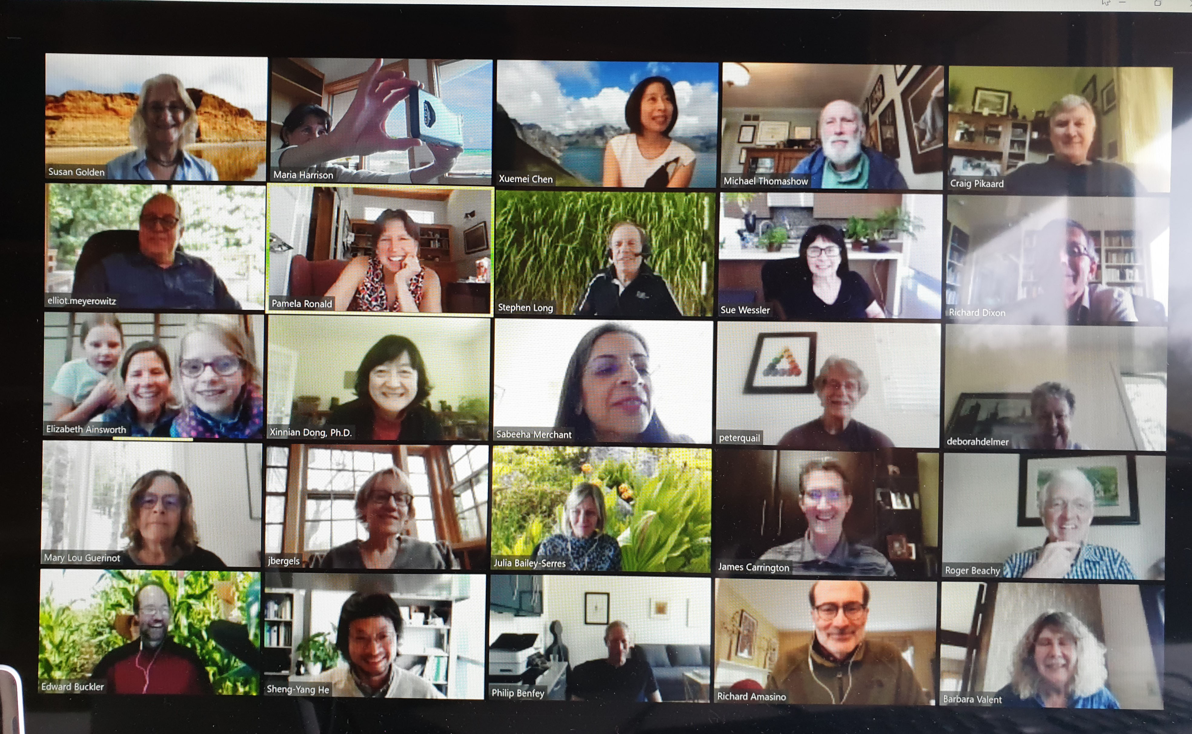 Screenshot of a zoom call
