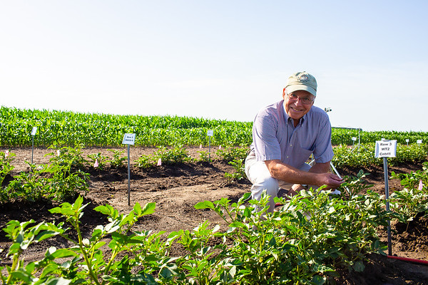 Donald Ort Field Trials