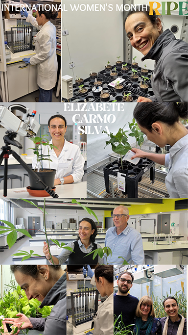 A collage of Elizabete Carmo-Silva in different lab shots with the words Women's History Month RIPE Elizabete Carmo-Silva at the top.